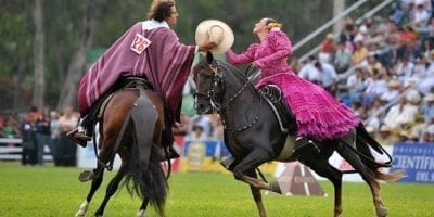Peruvian horses