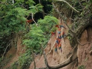 Refugio Amazonas