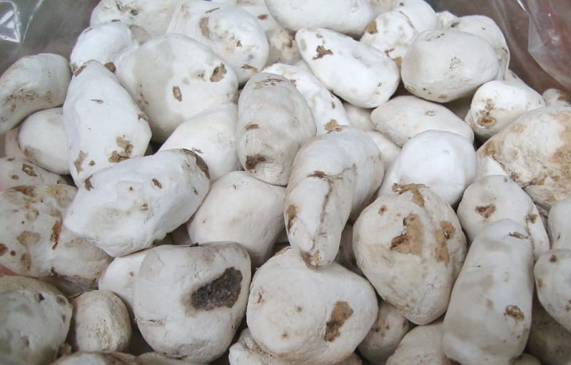 White Chuno