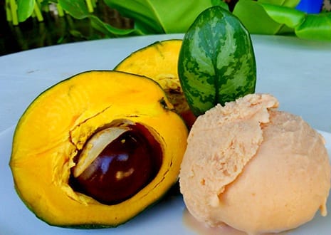 Lucuma ice cream Peruvian Food
