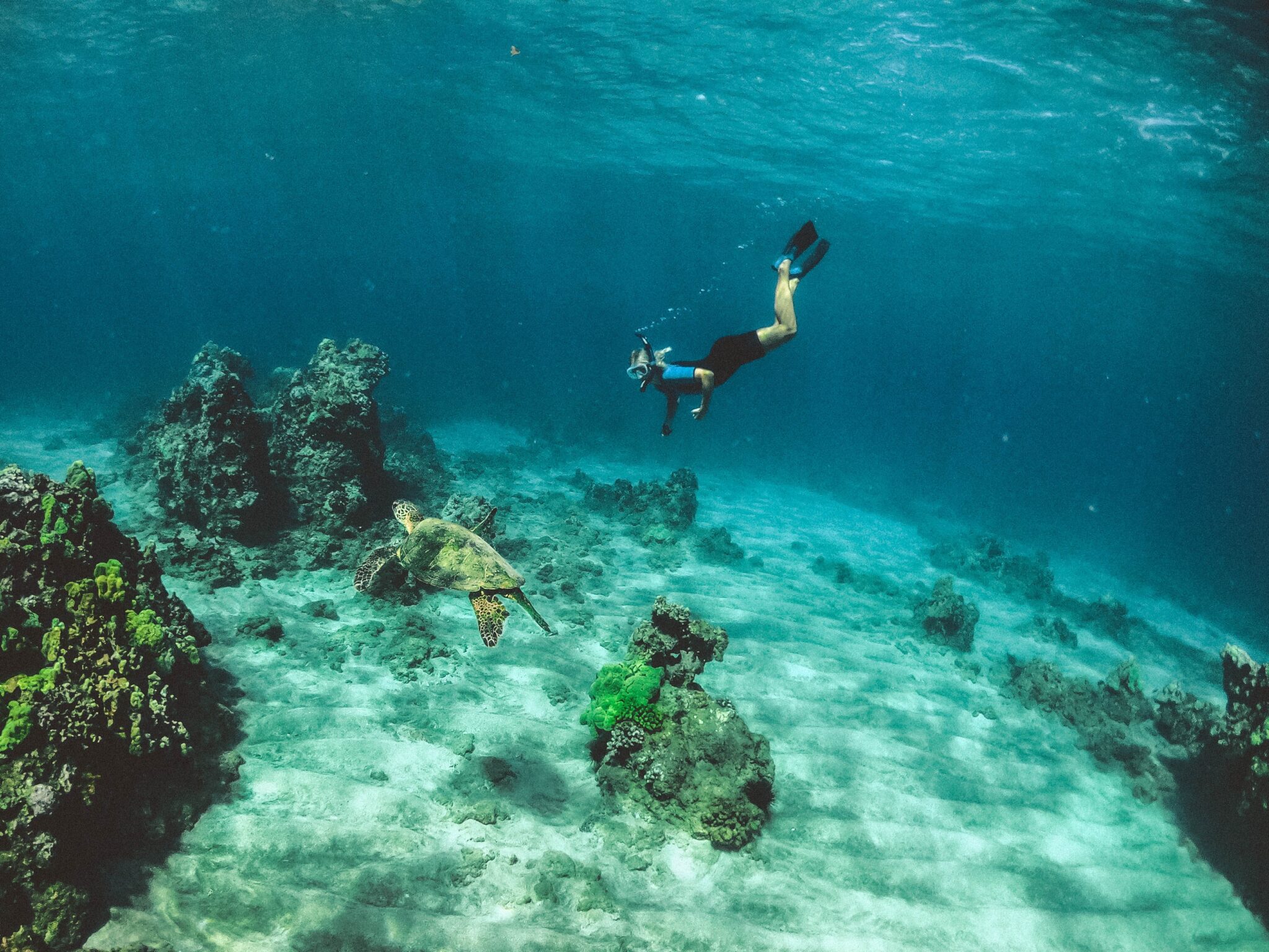 Galapagos Water activities