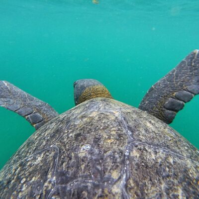 8 Day Quito and Galapagos Islands