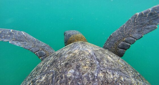 8 Day Quito and Galapagos Islands
